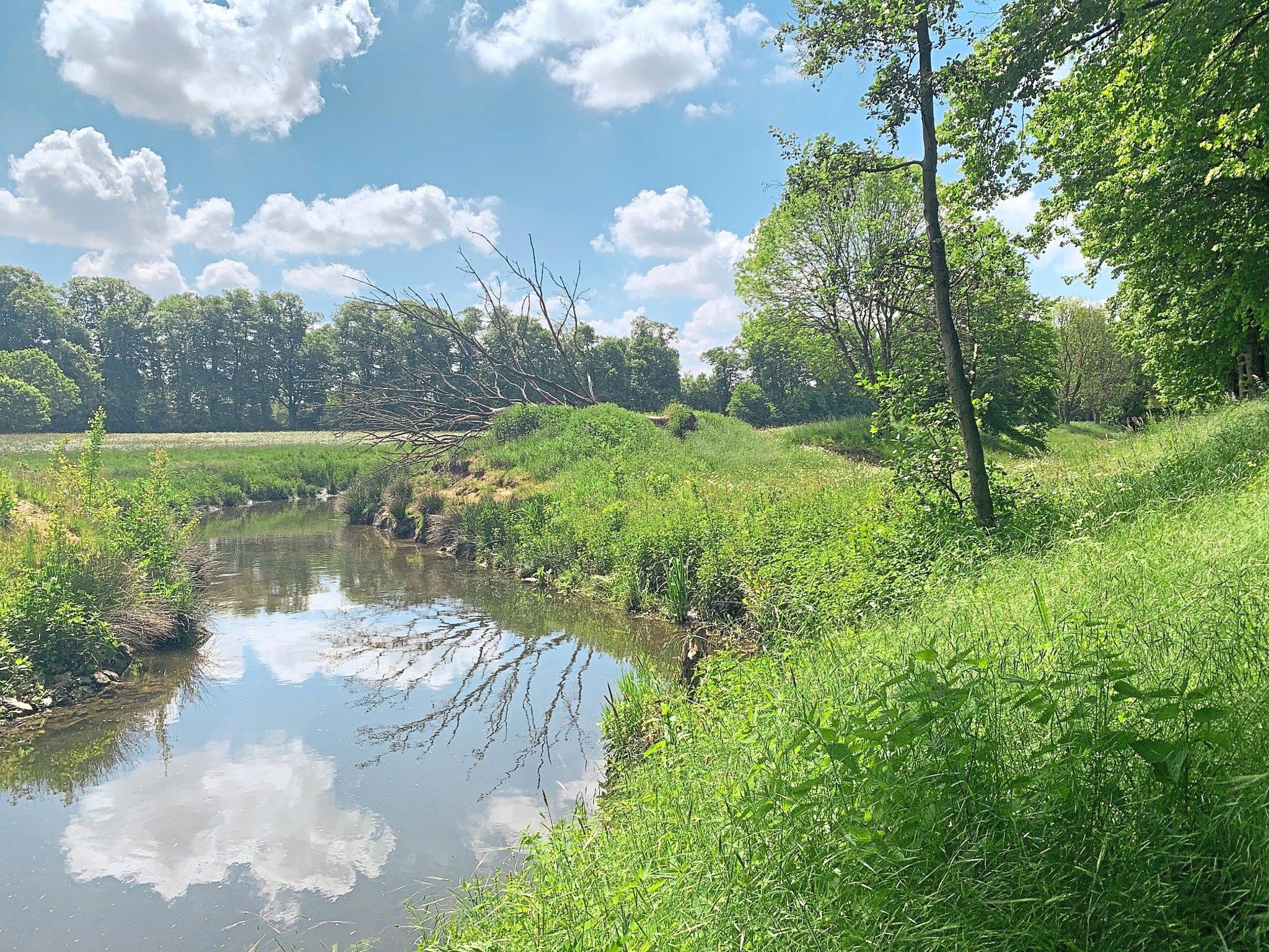 Vogelstimmen und lebendige Stever locken in Bürgerpark