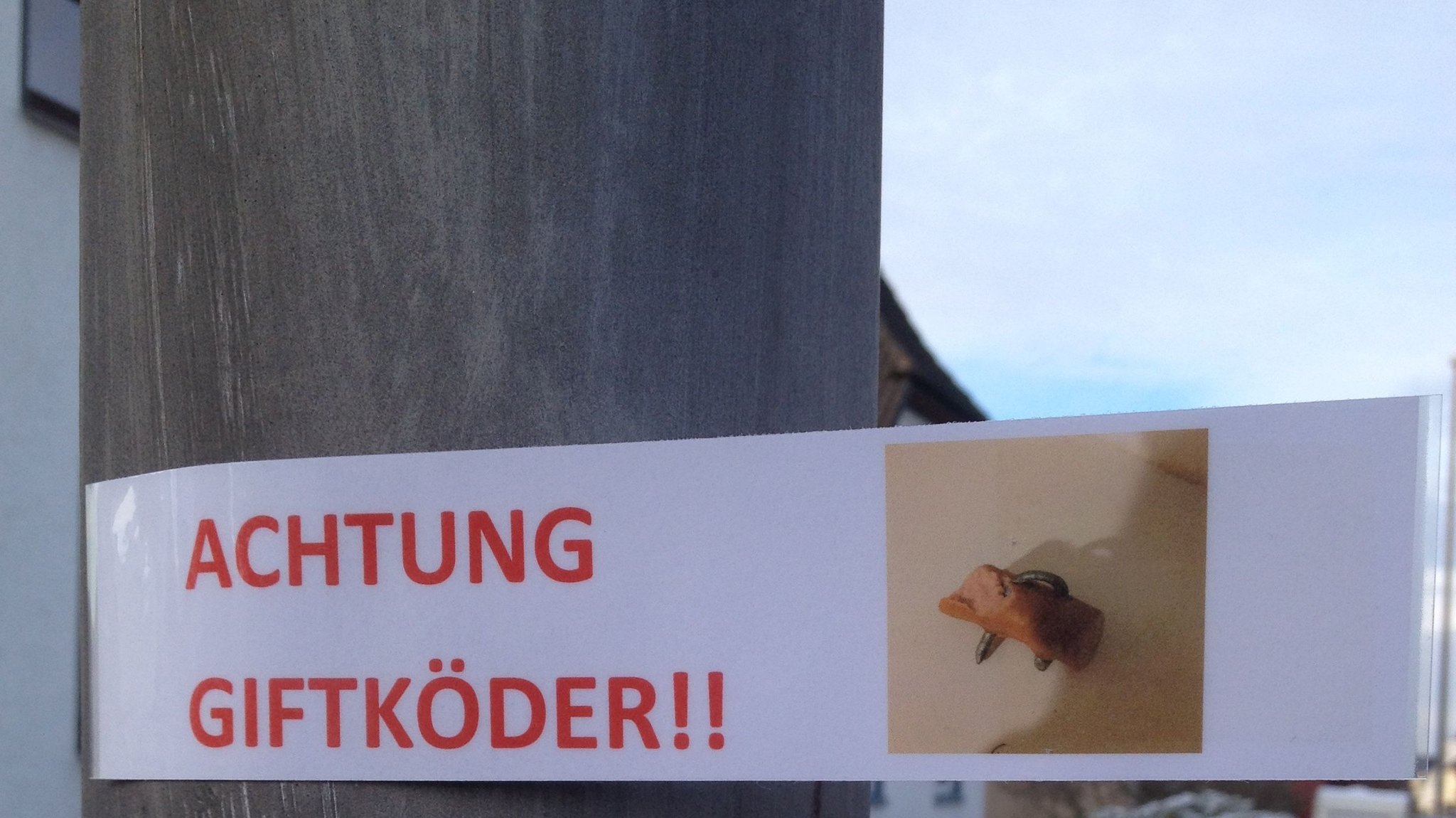 Giftköder ausgelegt