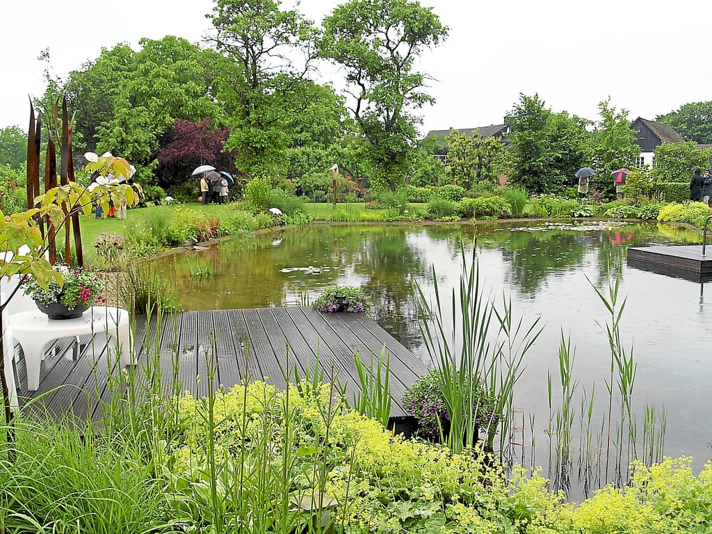 Gartenlust trotz Dauerregens