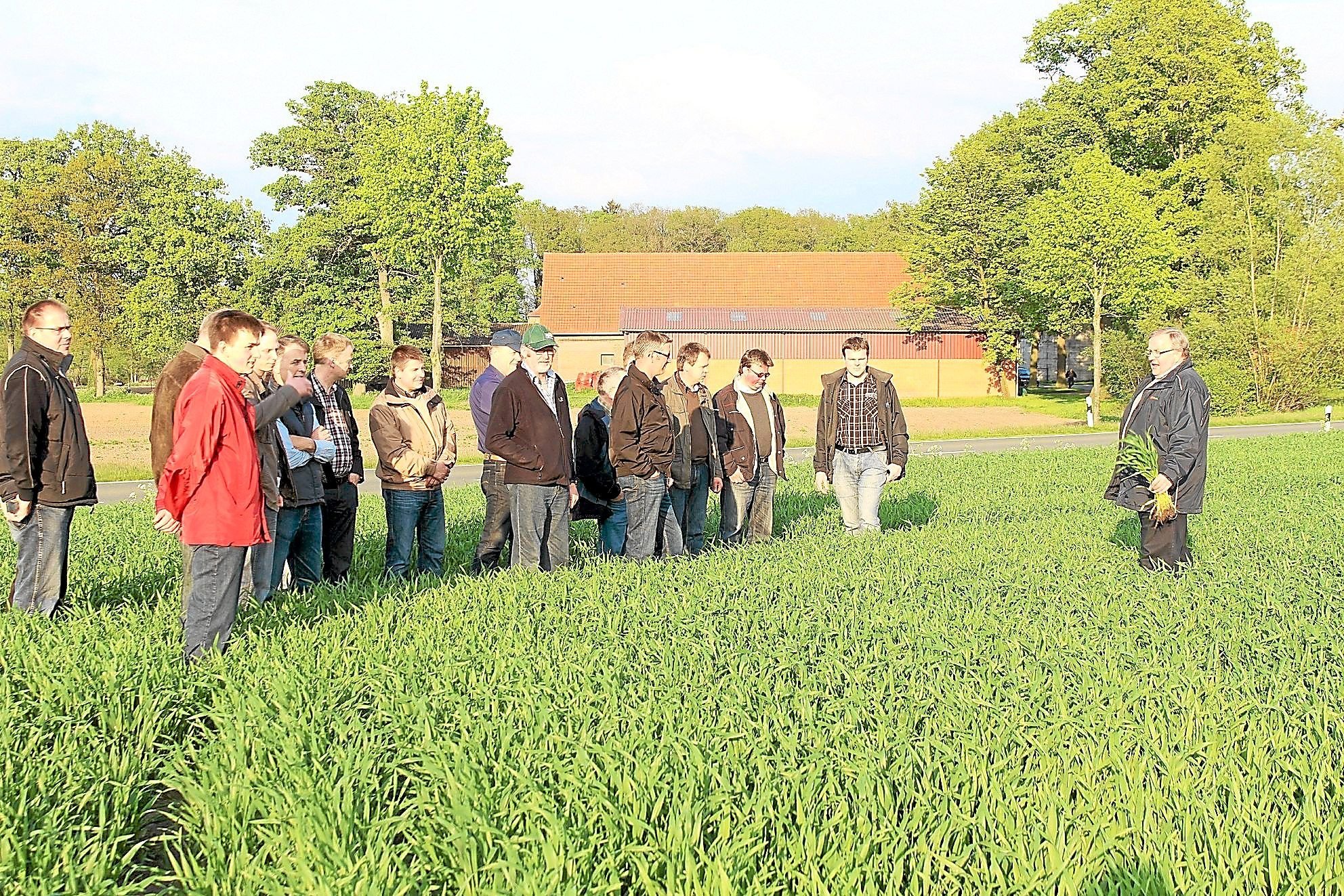 Bernd Hollmann Informiert Landwirte Bei Feldbegehung