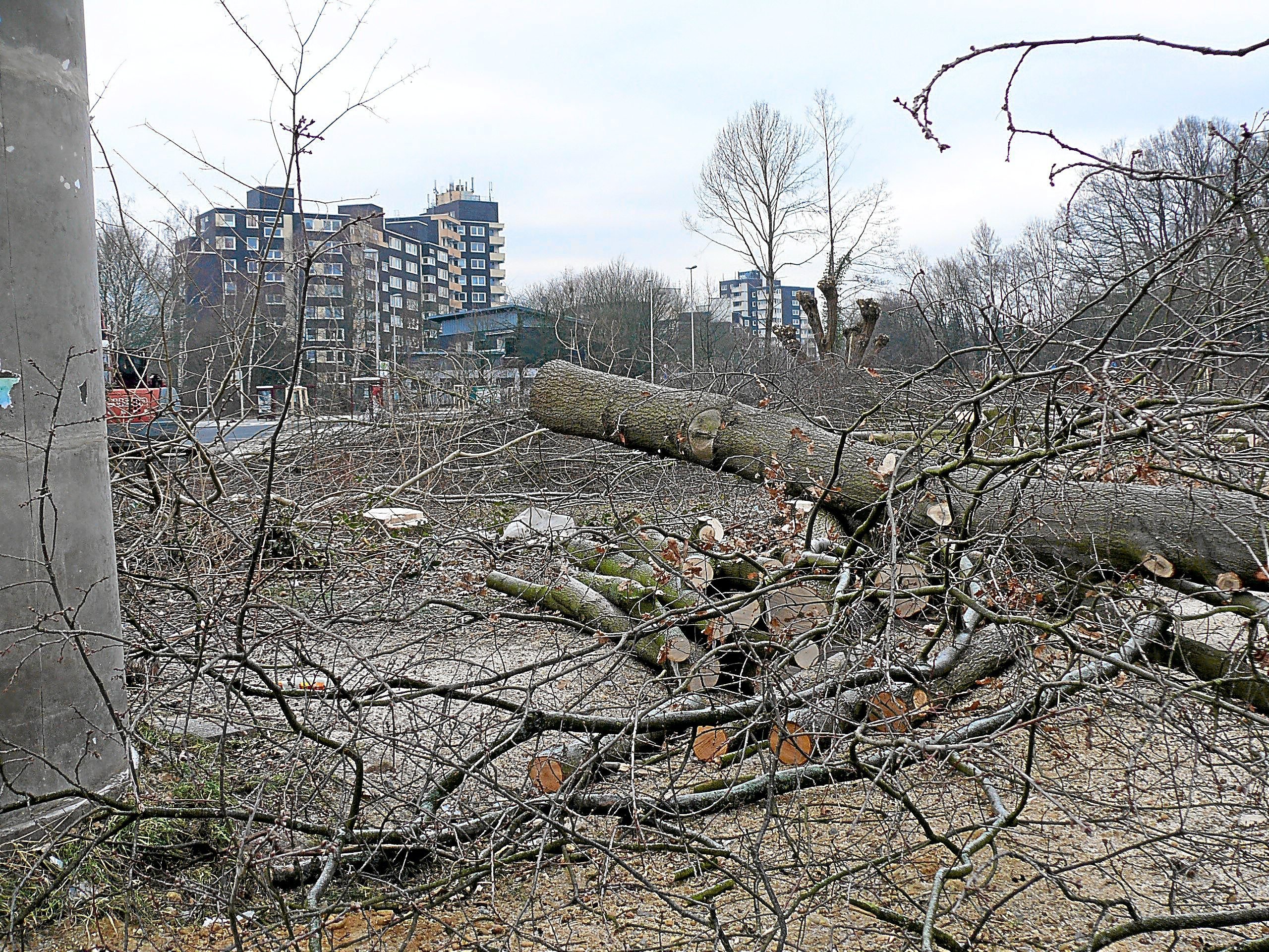 Hochbau im Zentrum Kinderhaus startet abhängig von der Witterung Anfang ...
