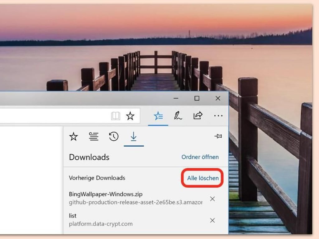 Download-Liste in Edge löschen