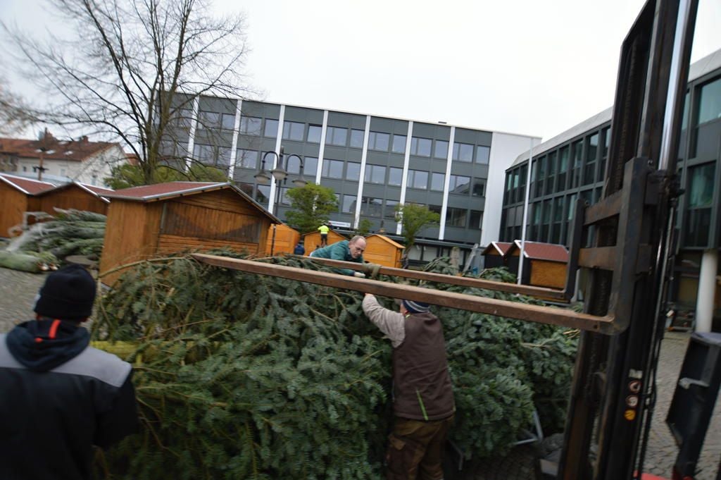 Weihnachtsmarkt in Bünde So lief die Aufstellung der Tanne