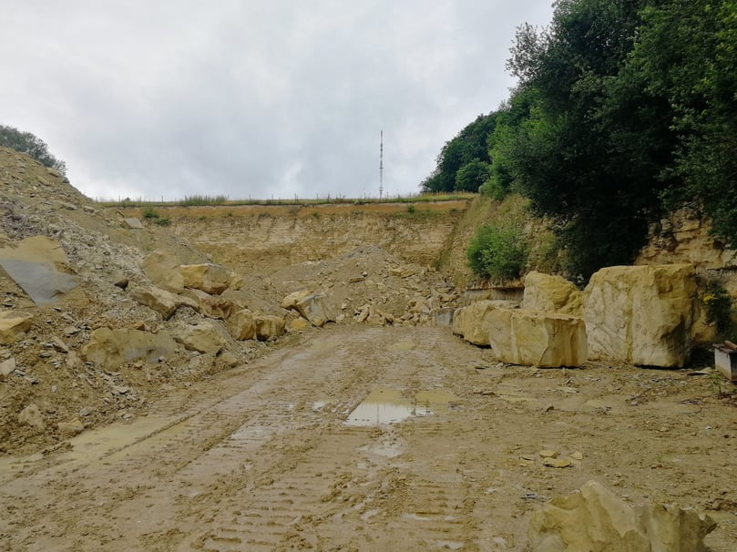 Die Mineralogin Dr. Sigrid Kramm-Glade weiß ganz genau, wie der Baumberger Sandstein entsteht. Zum Auftakt des Havixbecker Ferienprogramms brachte sie das den Kindern auf ganz praktische Weise im Steinbruch der Firma Dirks näher.