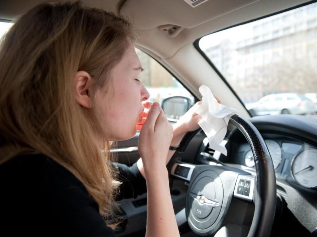 Allergiker sollten Pollenfilter im Auto wechseln