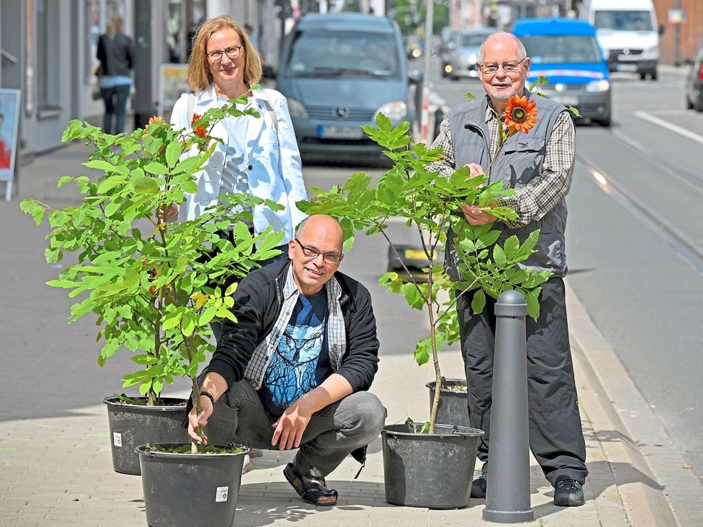 Neue Bäume Fürs Stadtklima