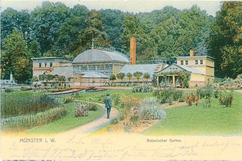 Im Botanischen Garten.