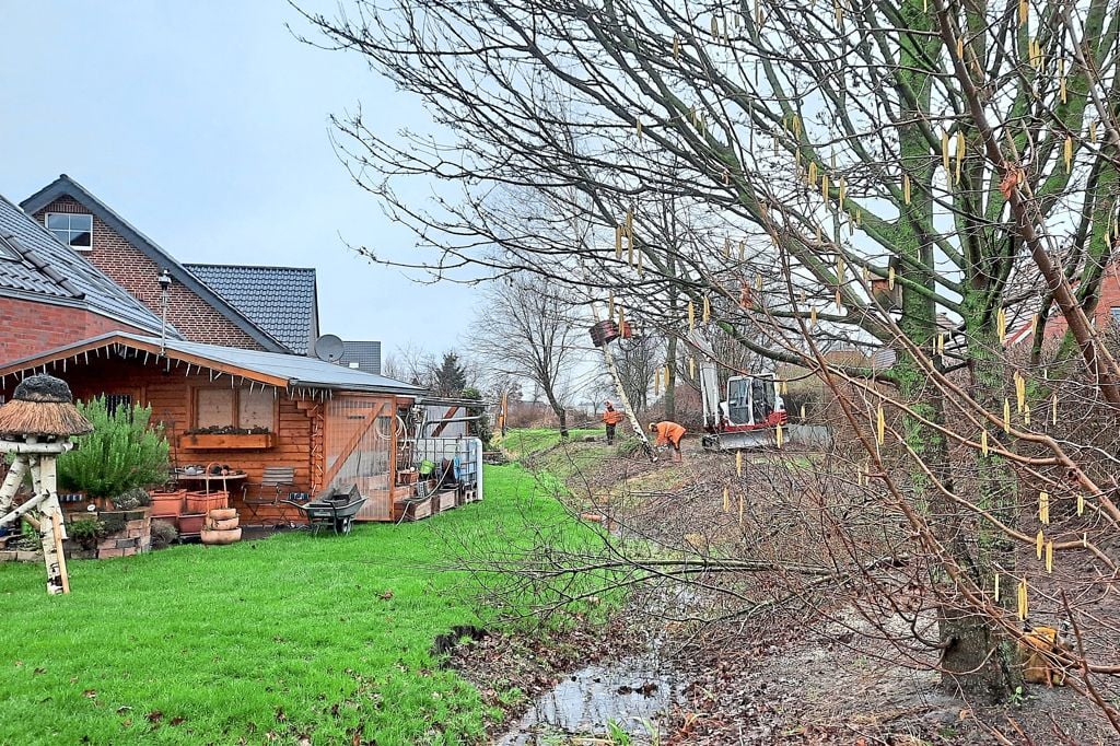 Anlieger wundern sich über „Kahlschlag“