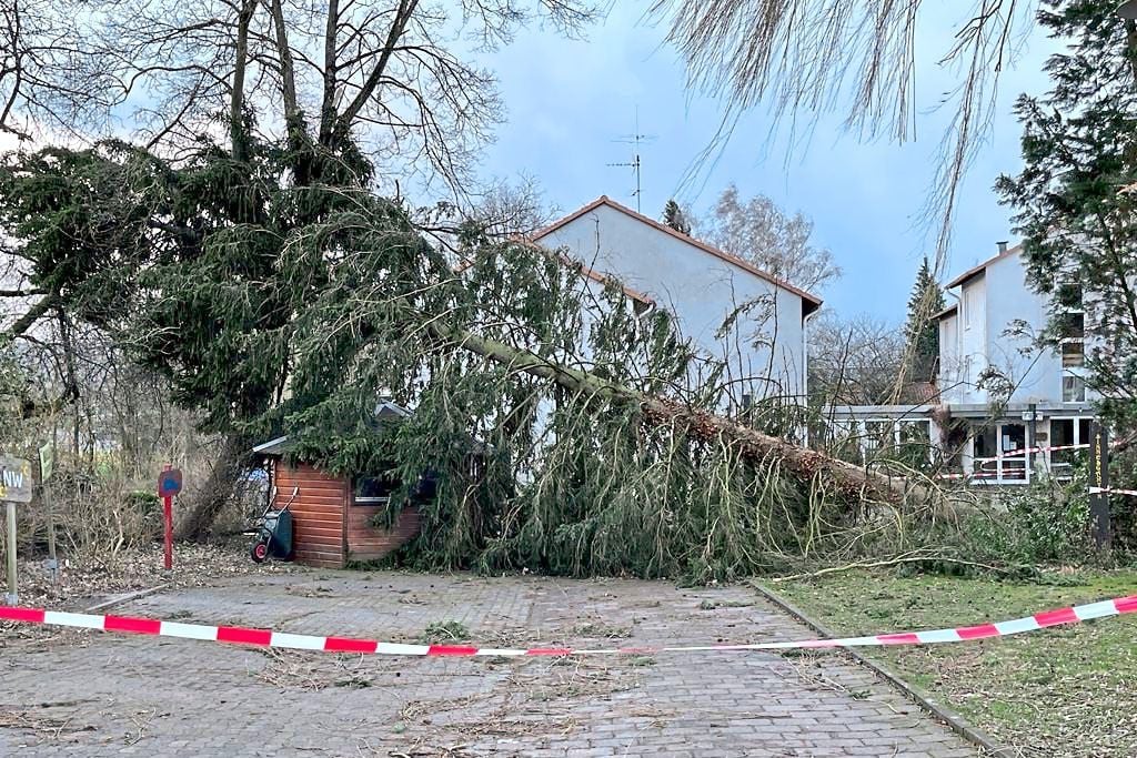 Orkan Zeynep zieht durch den Kreis Höxter