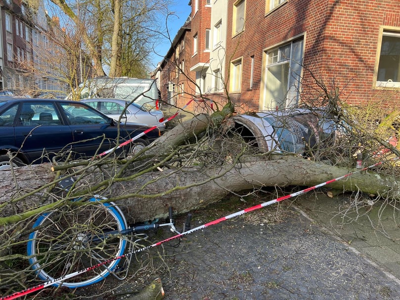 Der Tag danach: An der Kettelerstraße in Münster hat die stürmische Nacht deutliche Spuren hinterlassen.