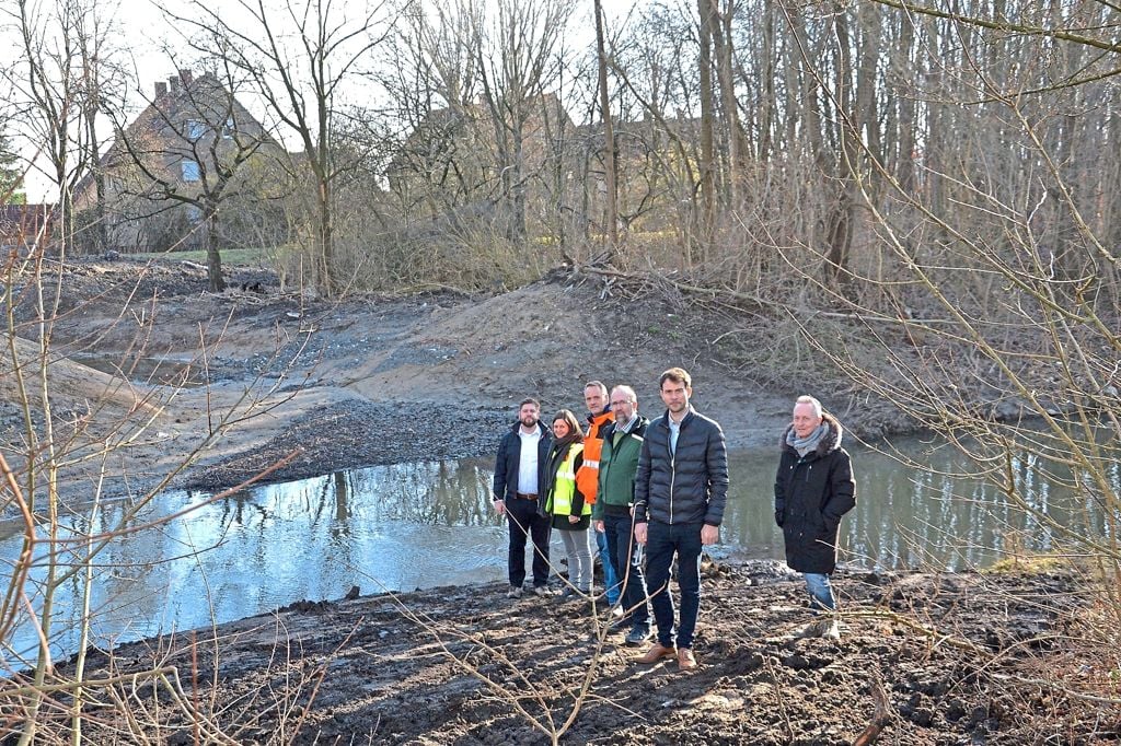 Eine Insel liegt im neuen Werselauf