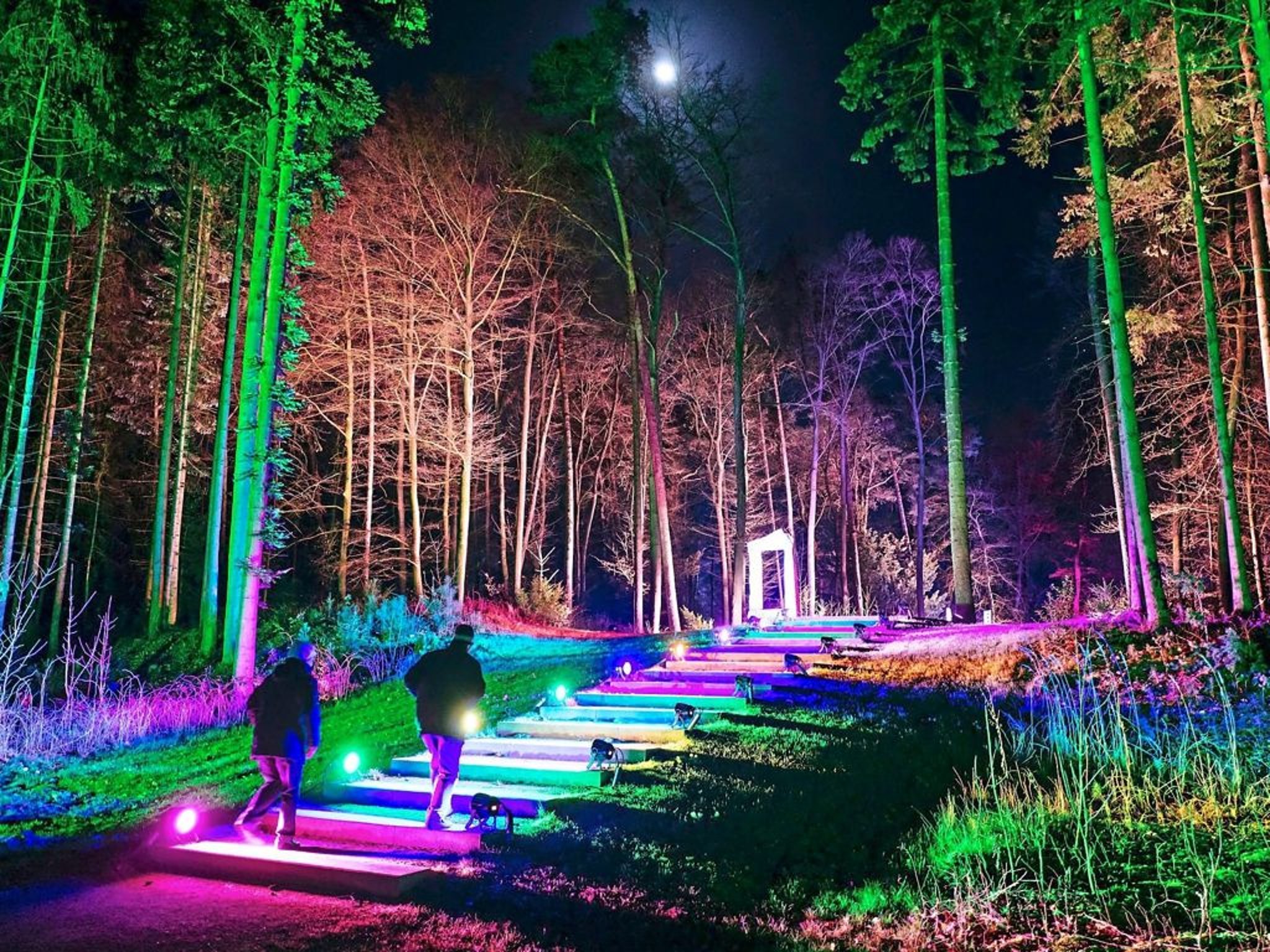 Gartenschau Bad Lippspringe in bunte Lichter gehüllt