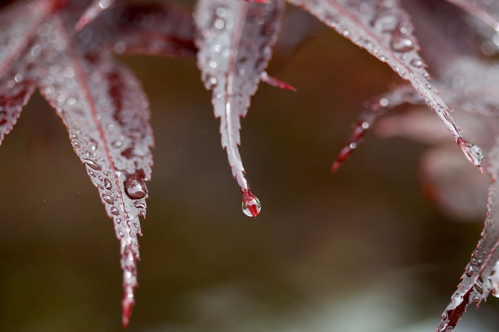 Der Herbst bietet einen Vorgeschmack