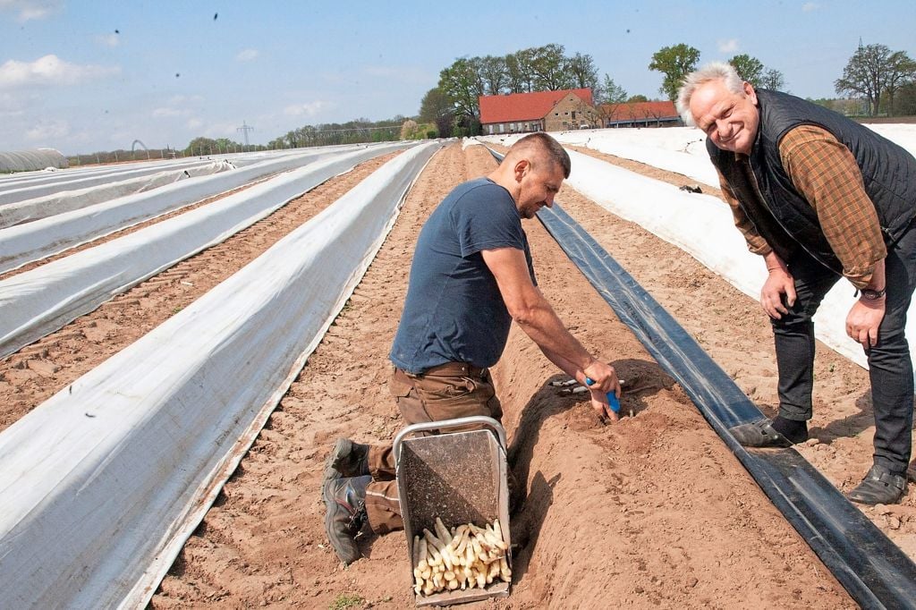 Ernte bis Spargelsilvester