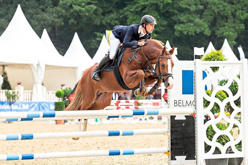 Bundeschampionate Bleiben In Warendorf