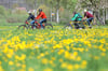 Im Mai können die Nordwalderinnen und Nordwalder wieder Rad-Kilometer sammeln. Vom 9. bis 29. Mai läuft die Stadtradeln-Kampagne in der Gemeinde.