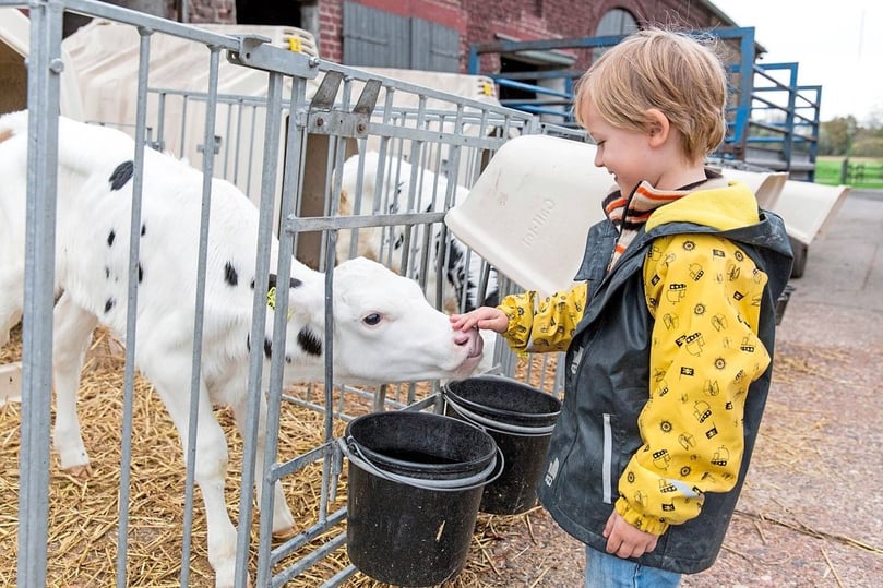 Muuuuuuh: Wo kommt die Milch her, und wie werden Milchprodukte verarbeitet? Antworten auf diese Fragen gibt es auf dem Hof Große Kintrup in der Bauerschaft Kasewinkel (Nummer 7). Im Stall gibt es eine Besucher-Plattform, von der aus alles überblickt werden kann. Zudem informieren Schautafeln über das Leben der Kühe auf dem Hof. Die Arbeit in der Molkerei kann durch ein Fenster verfolgt werden.