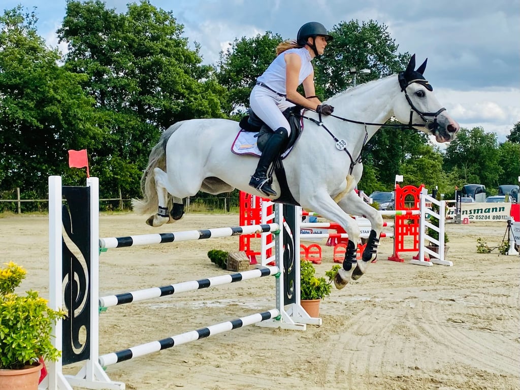 Steinhagen Classics: Reitertage versprechen sportliches Wochenende rund ...
