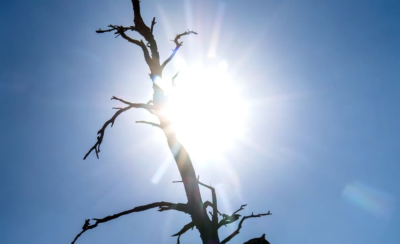 Bei Sommerhitze gibt es einige gut gemeinte Ratschläge zum Verhalten bei heißem Wetter. Ein Faktencheck: