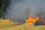 Ein Feld in der Nähe des Hof Pünings in Alverskirchen (Everswinkel) brennt. Die Feuerwehr versucht einen Waldbrand zu verhindern.