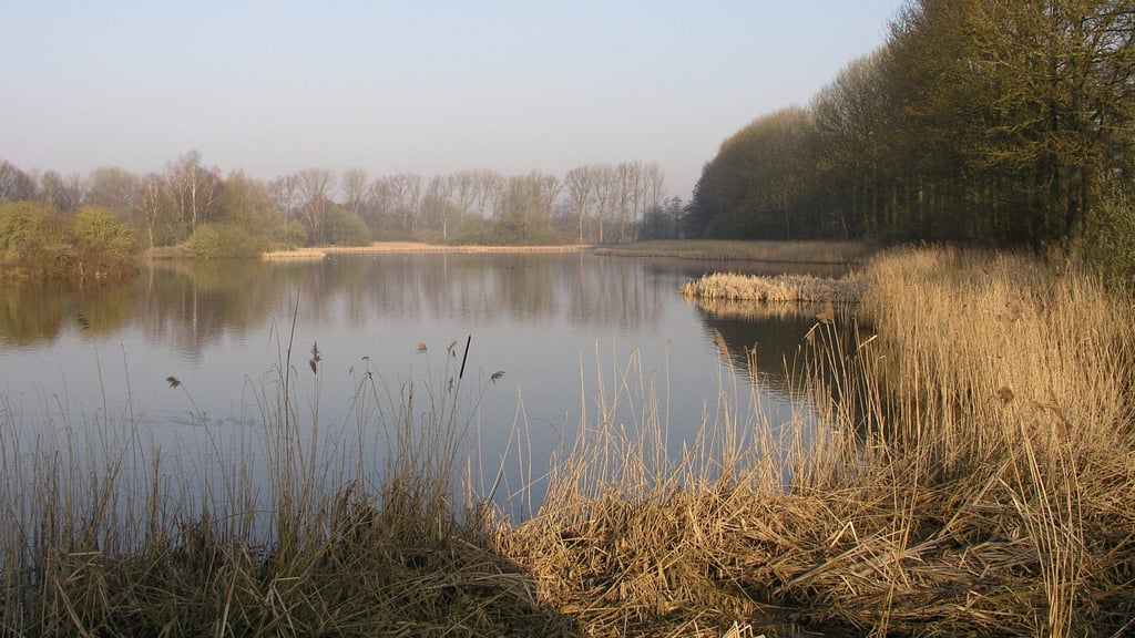 HeubachTeiche bleiben Naturschutzgebiet