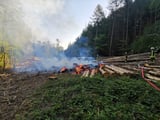 Waldbrand im Stemweder Wald. Zahlreiche Baumstämme standen in Flammen.