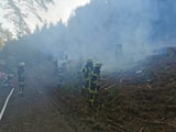 Waldbrand im Stemweder Wald. Zahlreiche Baumstämme standen in Flammen.