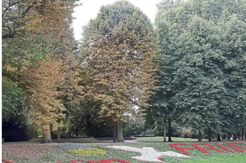 Hitze und Trockenheit haben böse Folgen