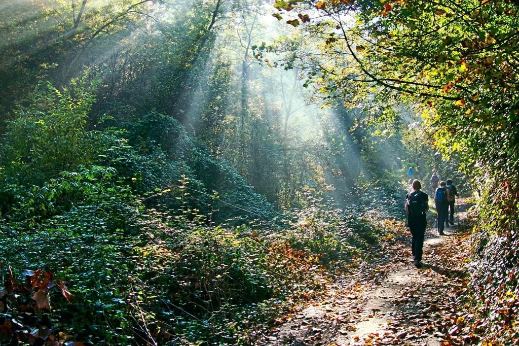 Gemeinsam auf dem Weg des Friedens