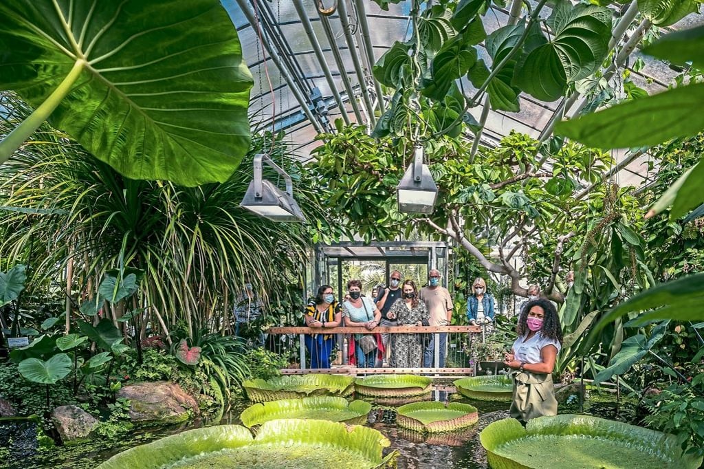 Patentag im Botanischen Garten