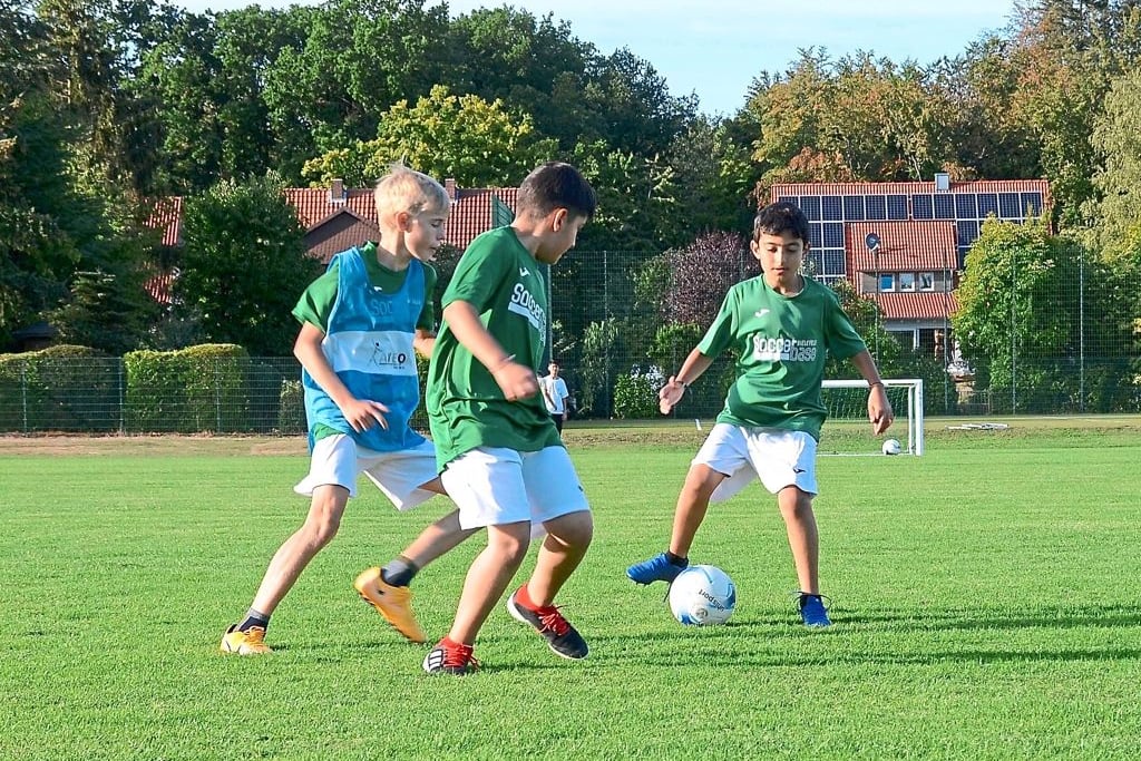 Kritik An Jugendfußball Qualifikation In Mainz Bingen: Absolutes Desaster - orwt8jw