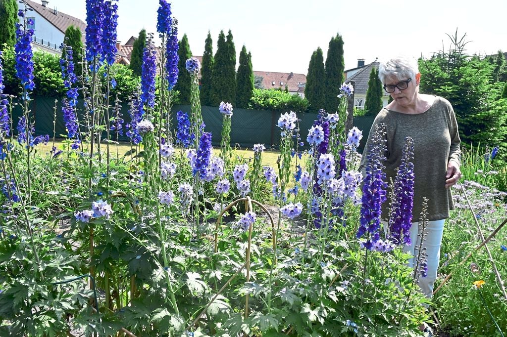 Garten in Schlangen kann besichtigt werden