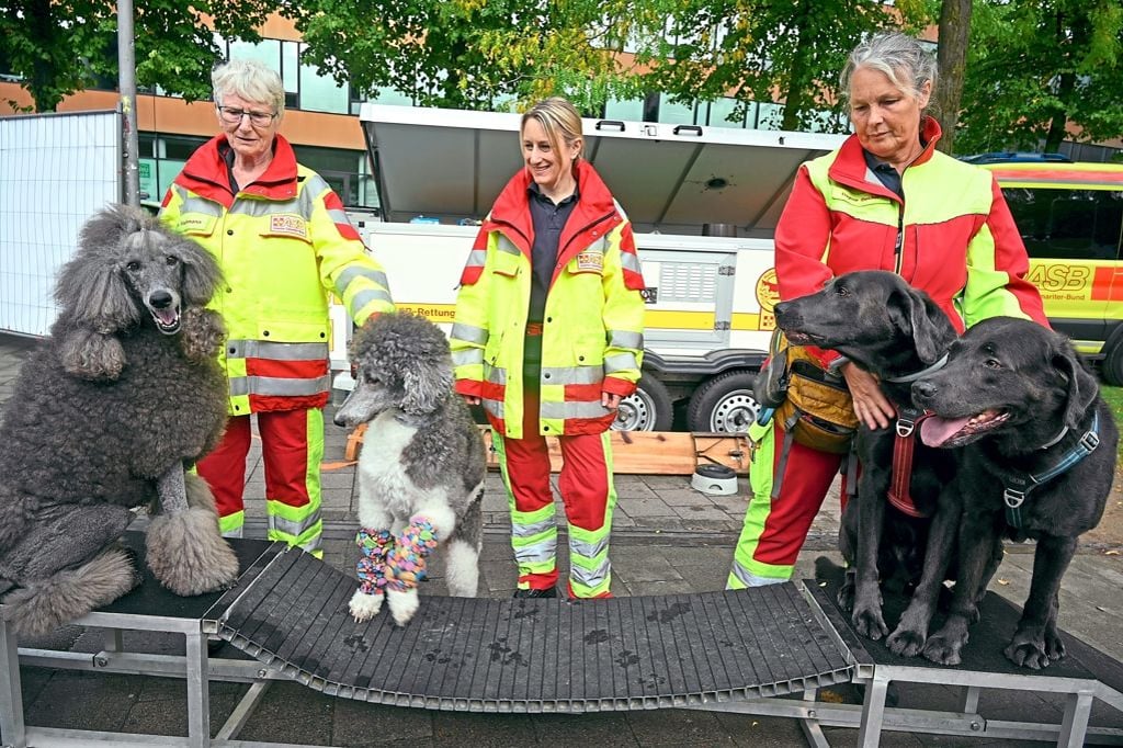Seit 50 Jahren Hilfe „hier und jetzt“