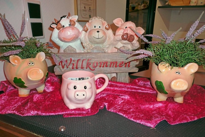 Willkommen im noch im Aufbau befindlichen Schweinmuseum.