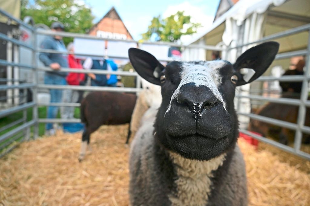 Landwirtschaft einmal hautnah erleben