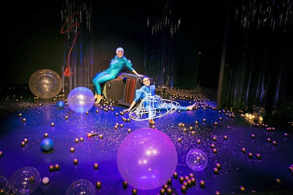 Der Katze ist es egal, wer sie streichelt