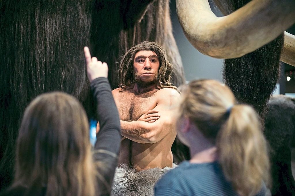 Ferien- und Werkstattnachmittage im LWL-Museum für Naturkunde