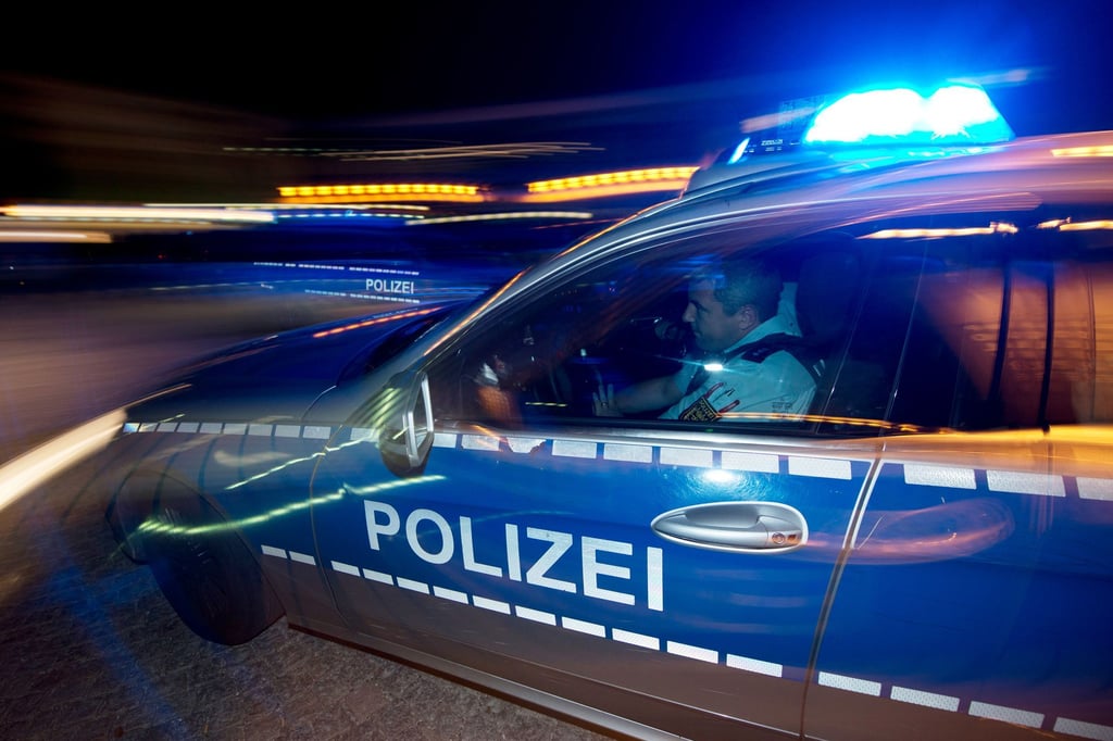 Polizei stellt mutmaßliche Diebe