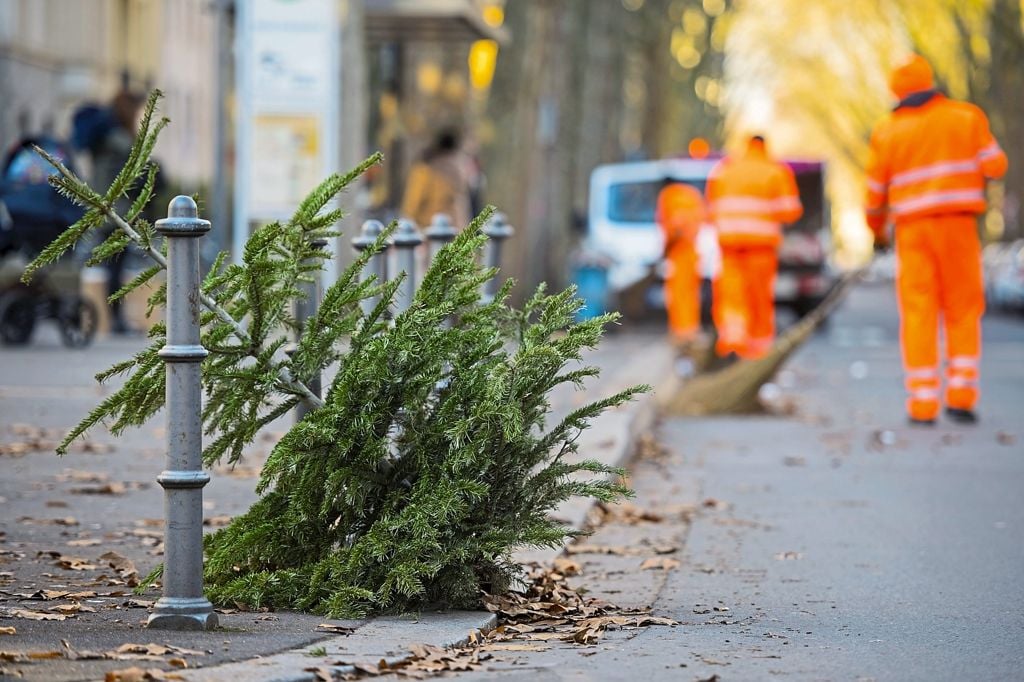 Wann Wird Der Tannenbaum Abgeholt