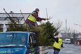 Die DLRG-Ortsgruppe Havixbeck sammelte in Havixbeck und Hohenholte ausrangierte Weihnachtsbäume ein und brachte sie zum Wertstoffhof.