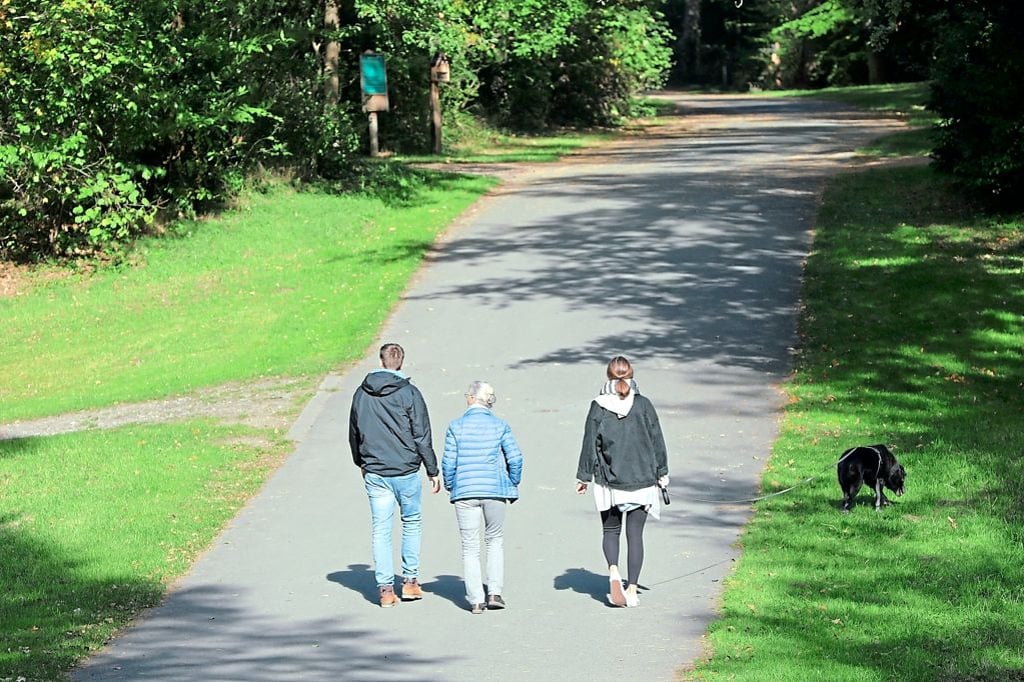 CDU beklagt eingeschränkte Mobilität am Waldfriedhof Lauheide
