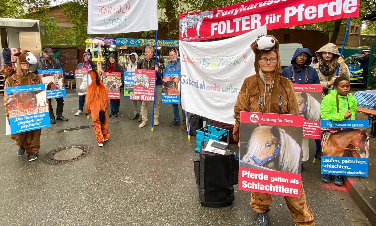 Ponykarussells: Tierschützer Erstatten Strafanzeigen