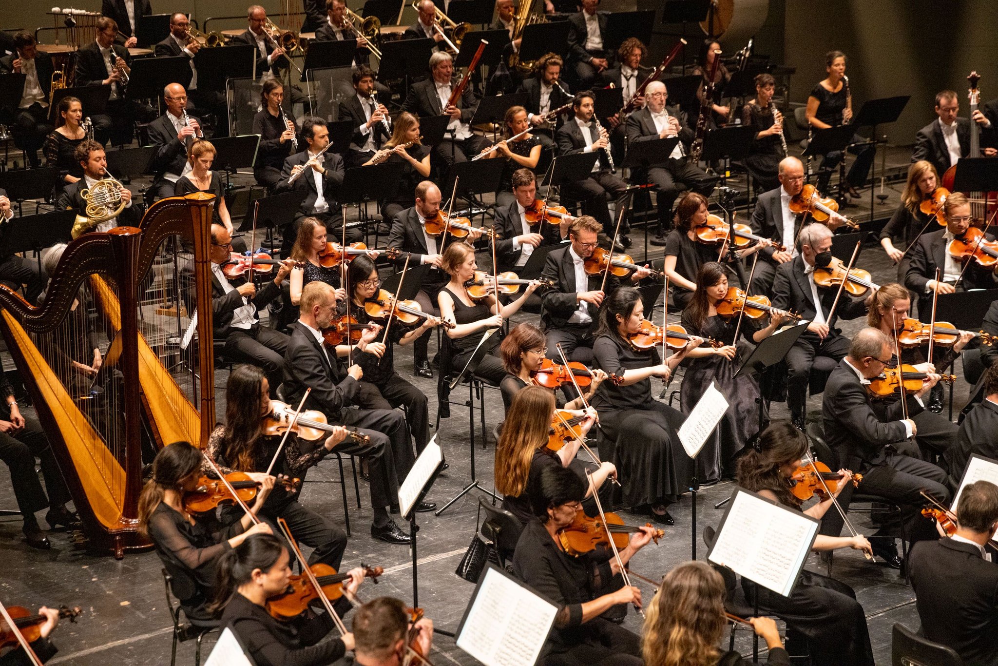 Feuriger Rhythmus trifft Wiener Schmäh