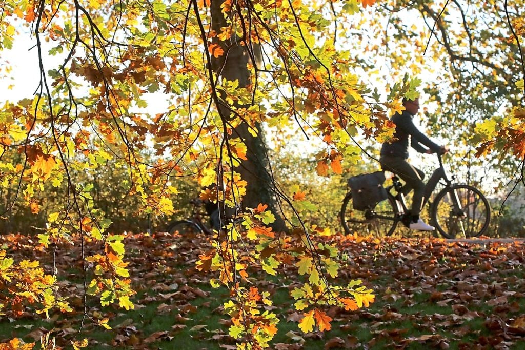 20 Grad und mehr: Spätsommer mitten im Herbst