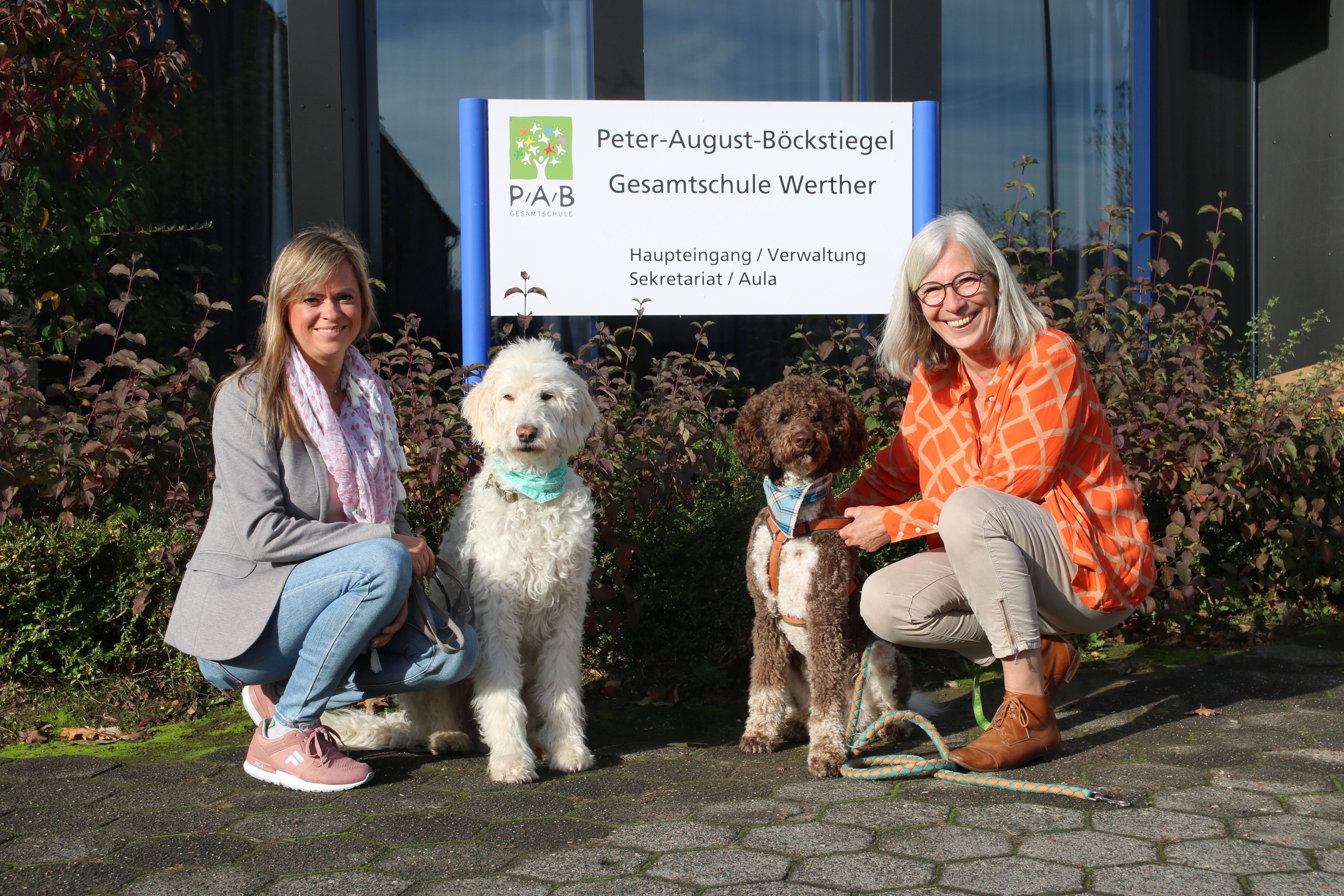 In Werther Und Borgholzhausen Gibt Es Jetzt Schulhunde In Der PAB ...