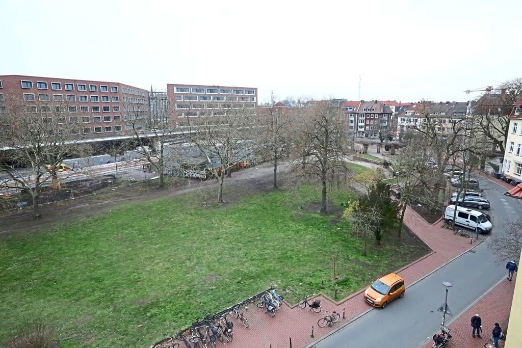 Sechs Kastanien müssen gefällt werden