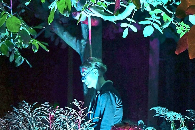 Halloweenhaus Familie Kock in Altenberge Franziskanerinnenweg 26