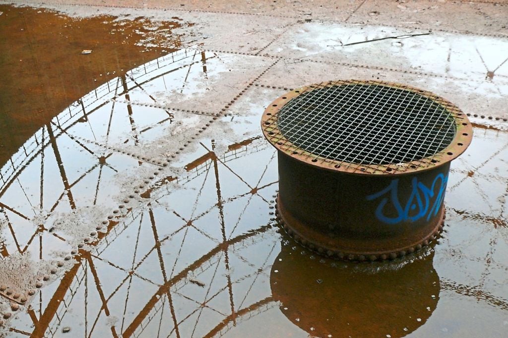 Rat hat Angst vor der Entscheidung