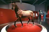 Das Westfälische Pferdemuseum im Allwetterzoo Münster feierte 20-jähriges Bestehen.