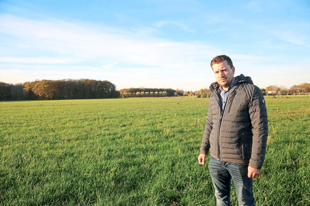 Anbau von Erdbeeren und Spargel: Maue Aussichten für Folientunnel